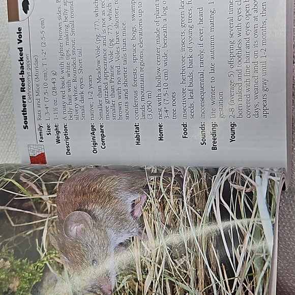 3/$10  Mammals of Colorado Field Guide - Picture 10 of 10